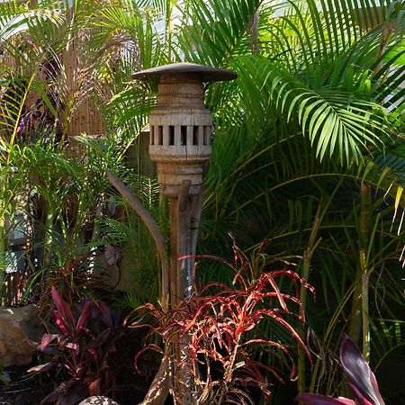 Lotus Suite, 1 Bedroom, Sleeps 4, Pool & Bbq, Pre-Renovation Summer Sale Kihei Exteriér fotografie