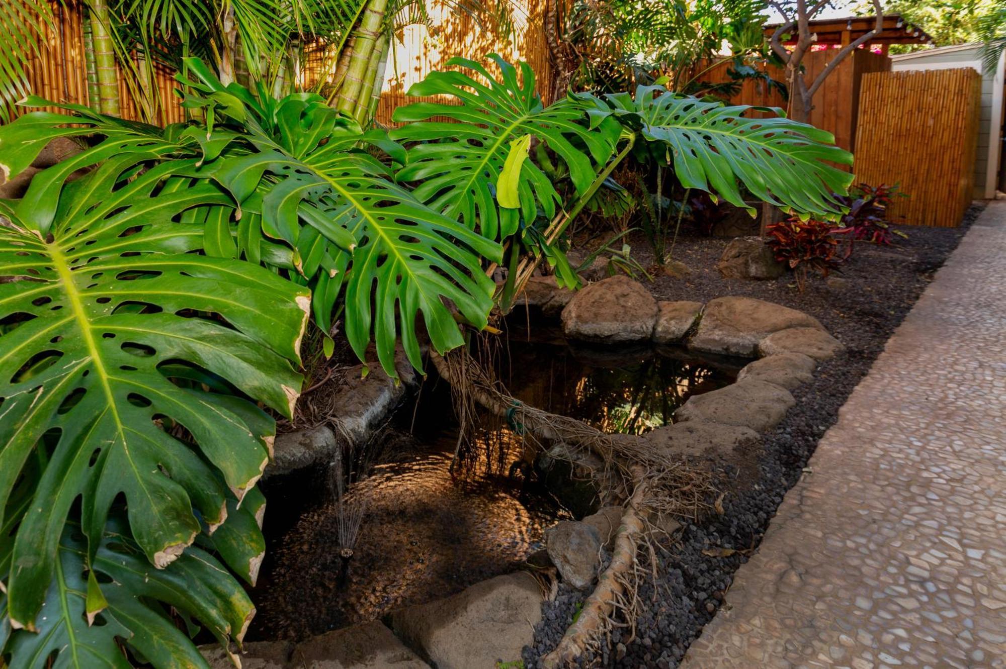 Lotus Suite, 1 Bedroom, Sleeps 4, Pool & Bbq, Pre-Renovation Summer Sale Kihei Exteriér fotografie