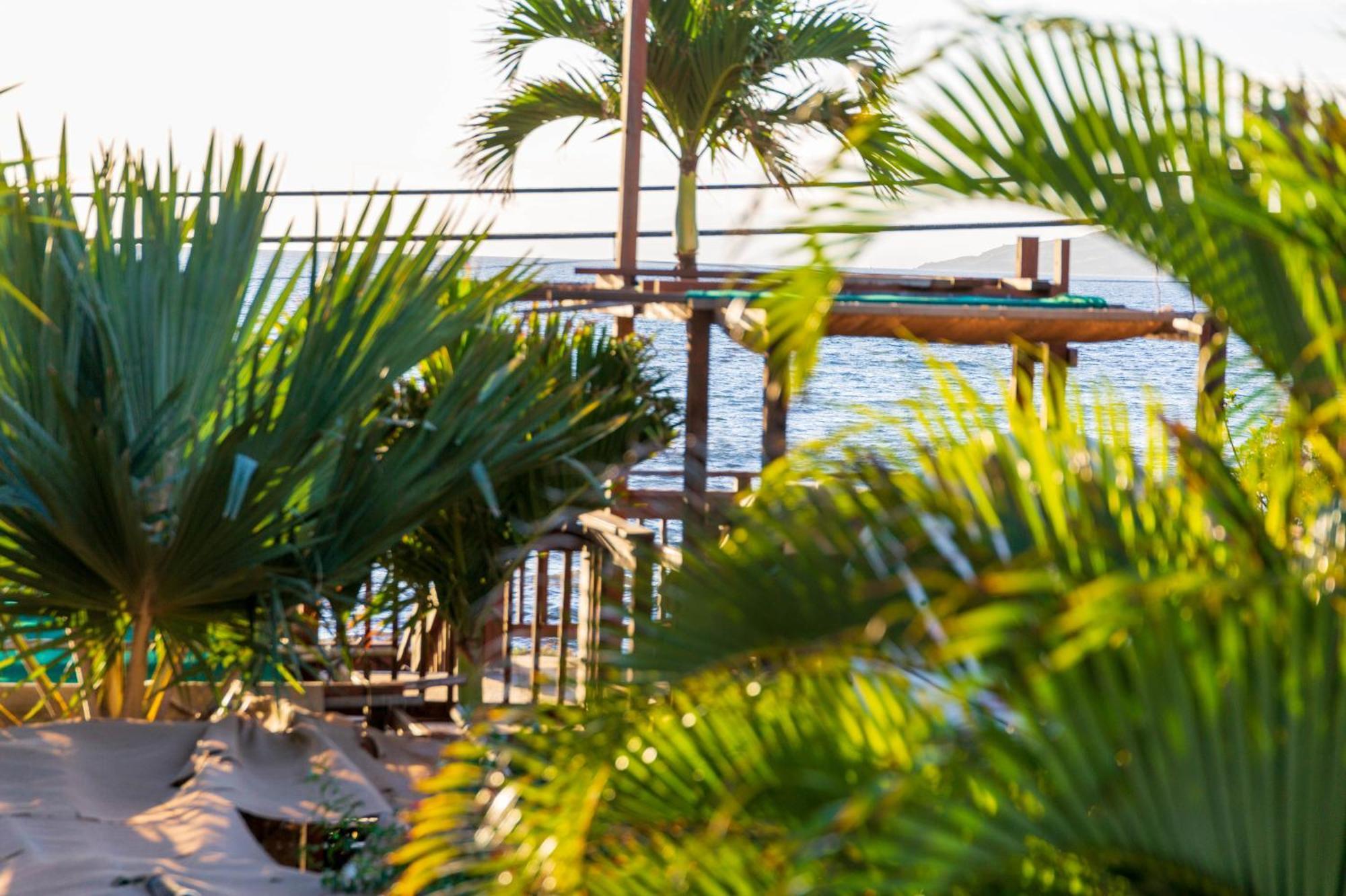 Lotus Suite, 1 Bedroom, Sleeps 4, Pool & Bbq, Pre-Renovation Summer Sale Kihei Exteriér fotografie